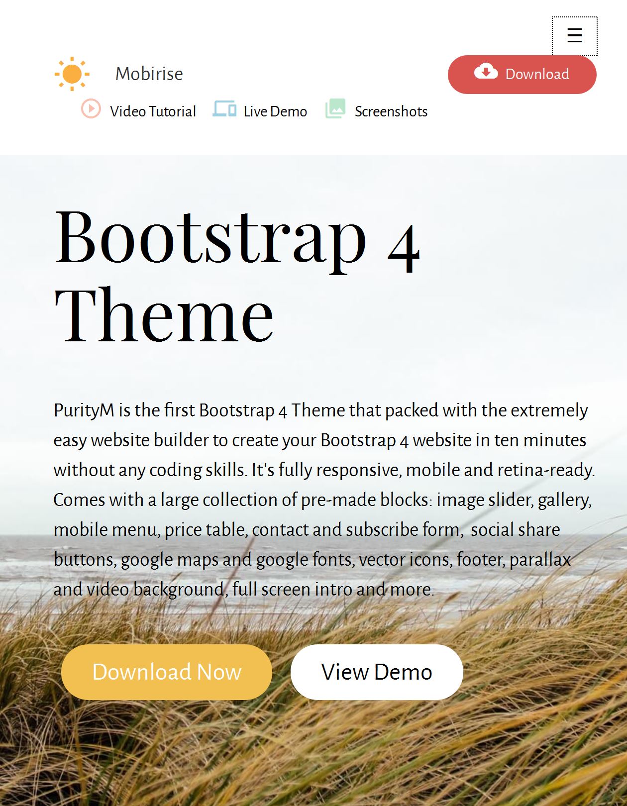 Html Bootstrap Template