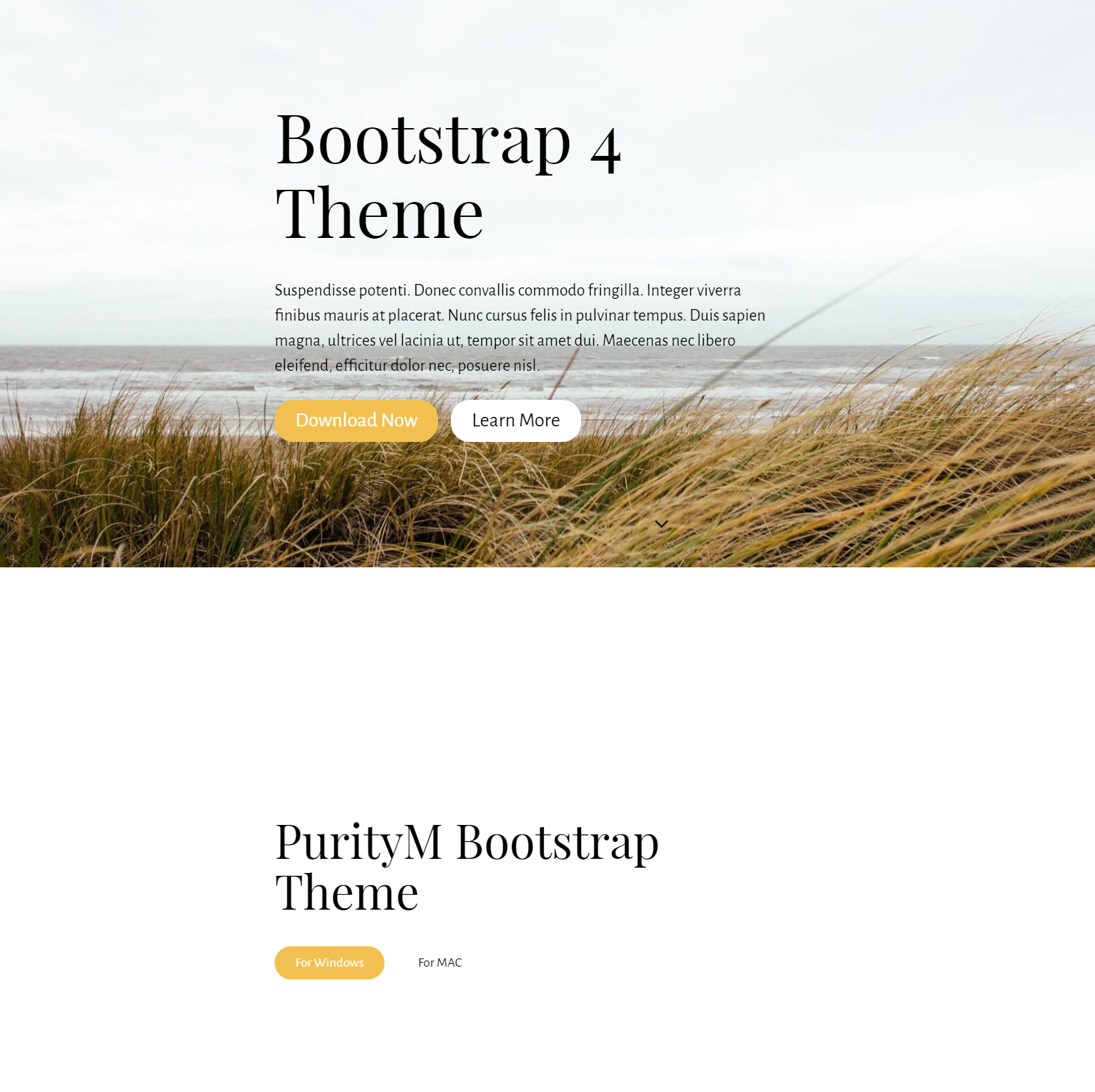 HTML5 Bootstrap 4 Templates