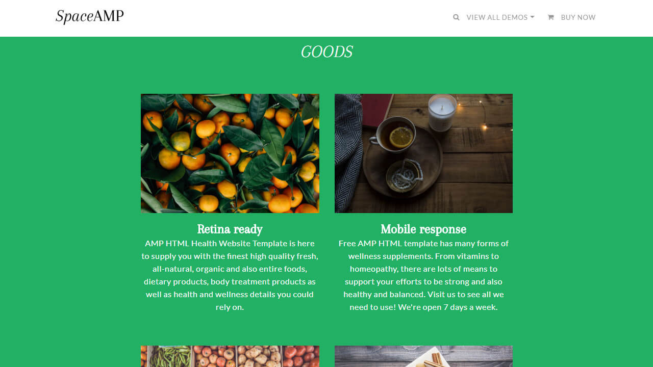 AMP HTML Health Site Template