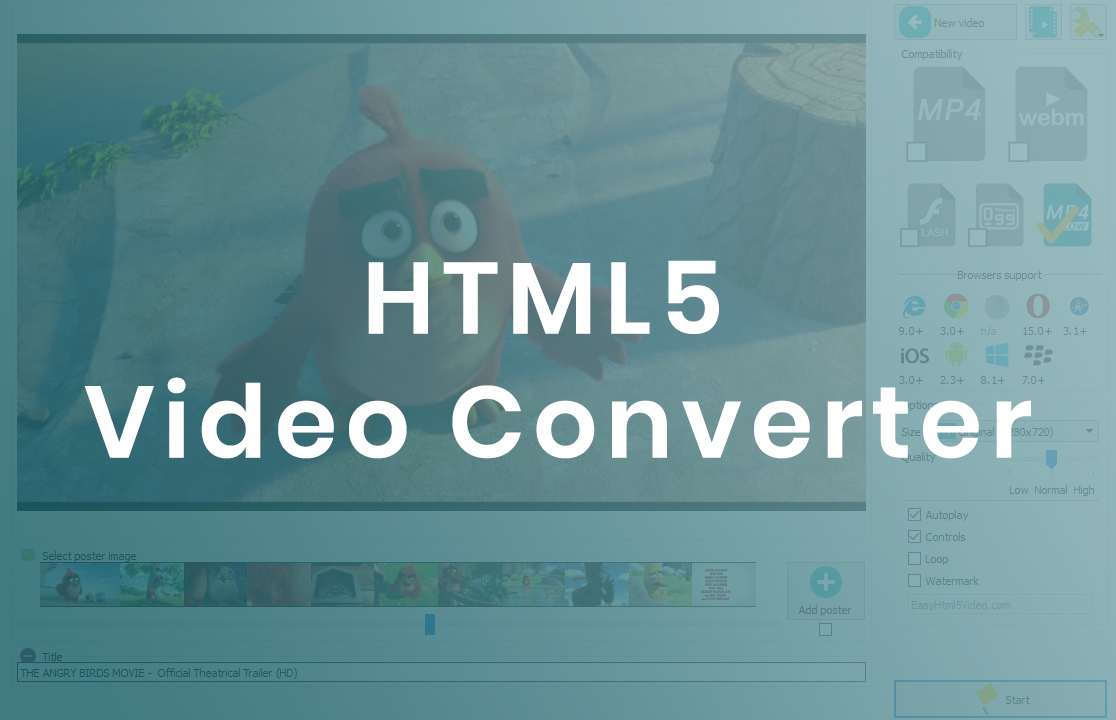 html5 video